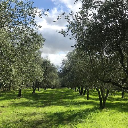 Agriturismo Podere I' Caldino Troghi المظهر الخارجي الصورة