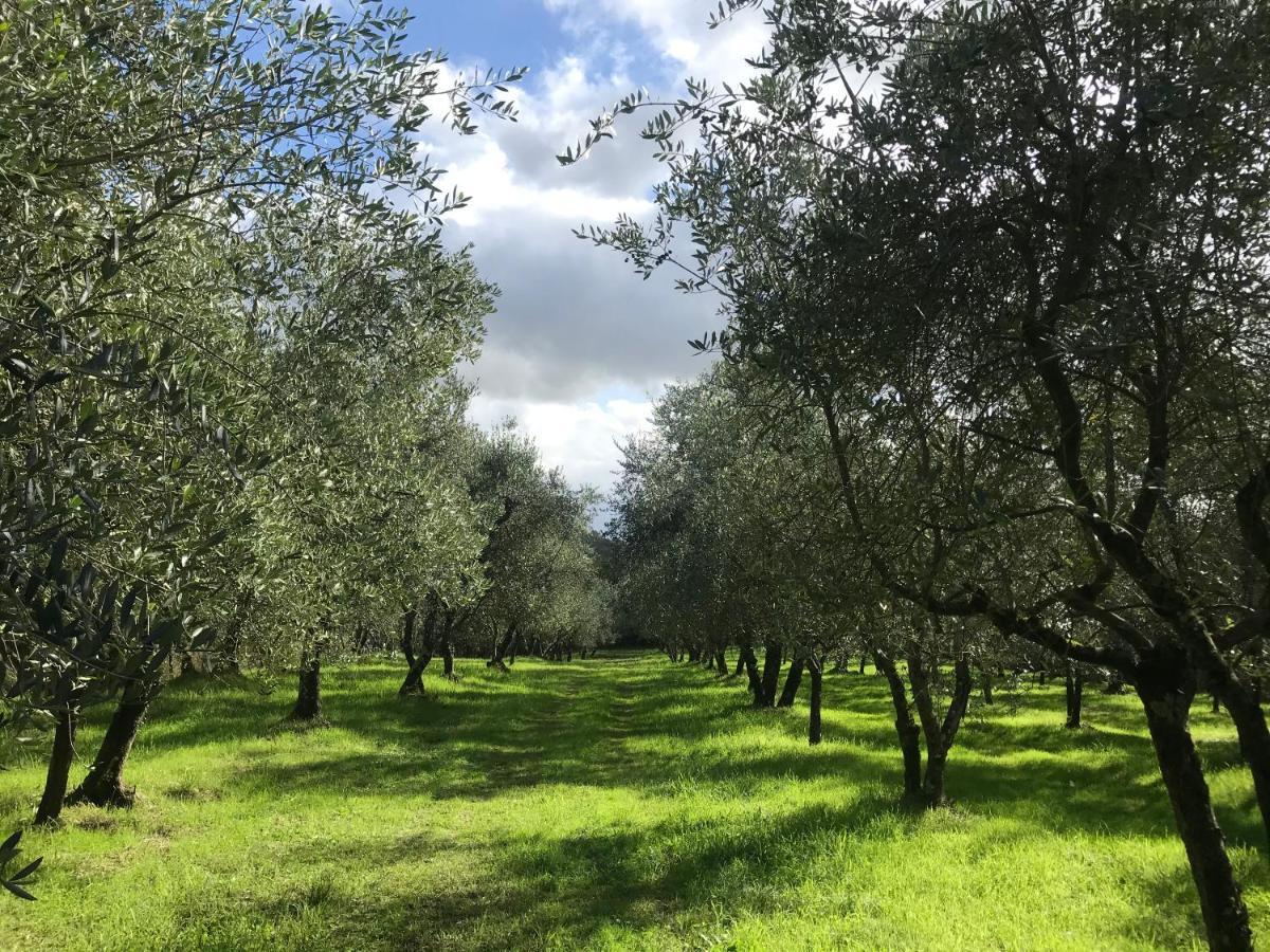 Agriturismo Podere I' Caldino Troghi المظهر الخارجي الصورة